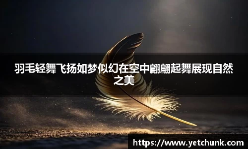 羽毛轻舞飞扬如梦似幻在空中翩翩起舞展现自然之美
